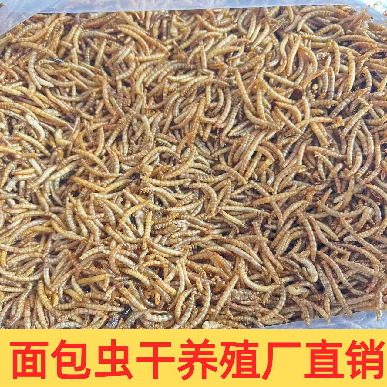养殖专供面包虫干整箱批发鸟龟粮