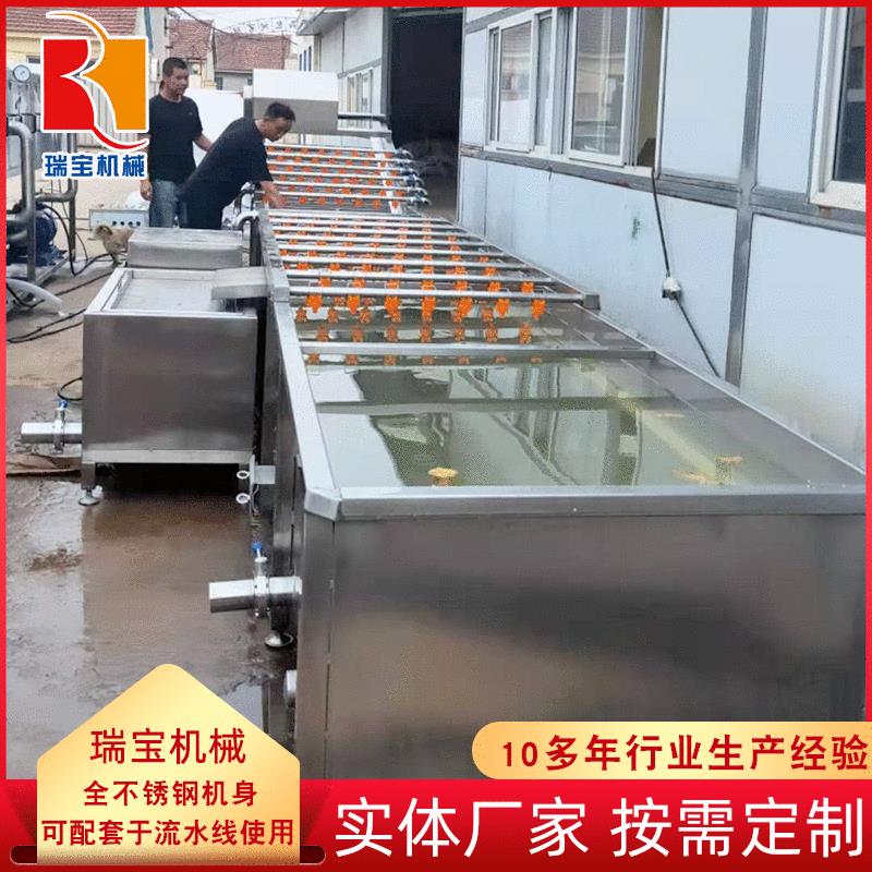 青苹果清洗机槟榔气泡清洗生产线设备全套橄榄清洗加工设备