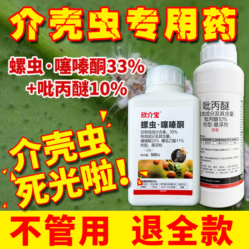蚧壳虫33%螺虫杀虫剂蚧壳虫