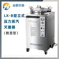 合肥 立式压力蒸汽灭菌器/高压灭菌锅/消毒锅 LX-B系列