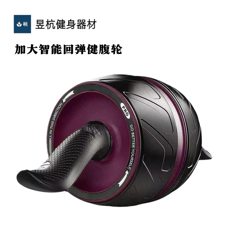 dual abs abdominal roller wheel exerciser workout body train