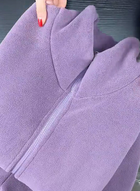 秋冬季简约紫色海豚绒保暖立领睡衣套装女款休闲可外穿加绒家居服