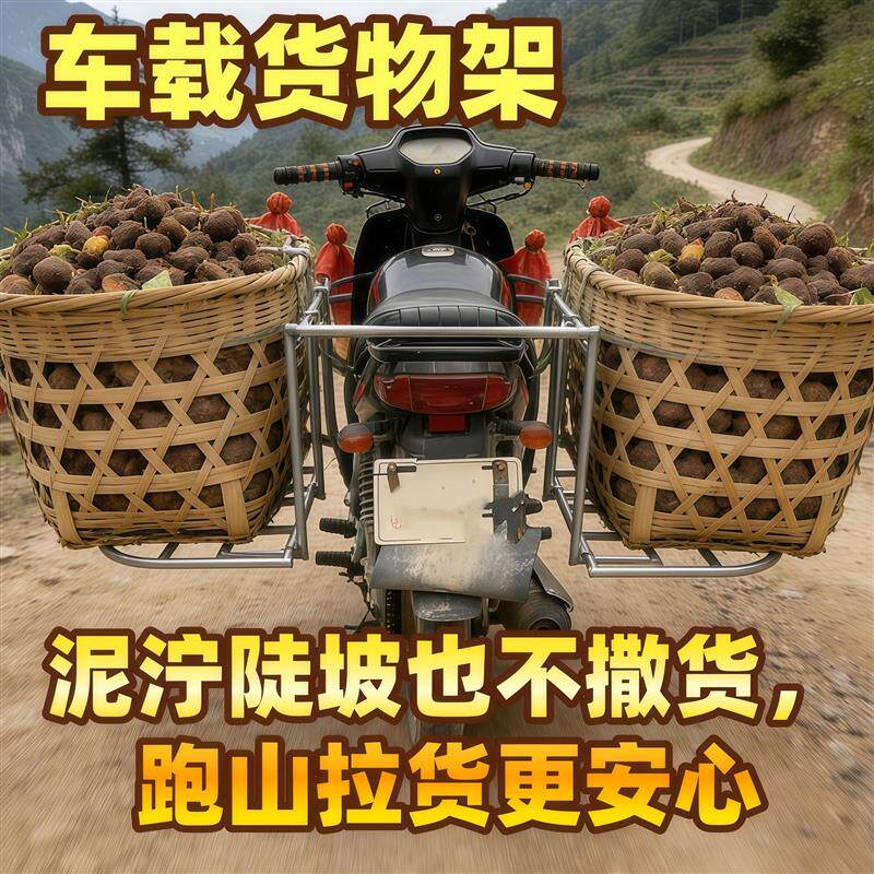 摩托车放东西神器视频同款.车载架摩托车物架电动车两轮拉货架摩