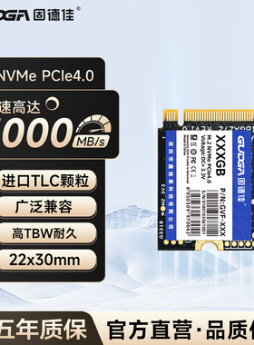 固德佳GVF M.2 2230 NVMe PCIe 512G 1TB固态硬盘SSD SteamDeck