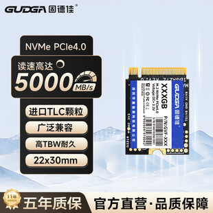 NVMe 2230 PCIe 512G SteamDeck 固德佳GVF 1TB固态硬盘SSD M.2