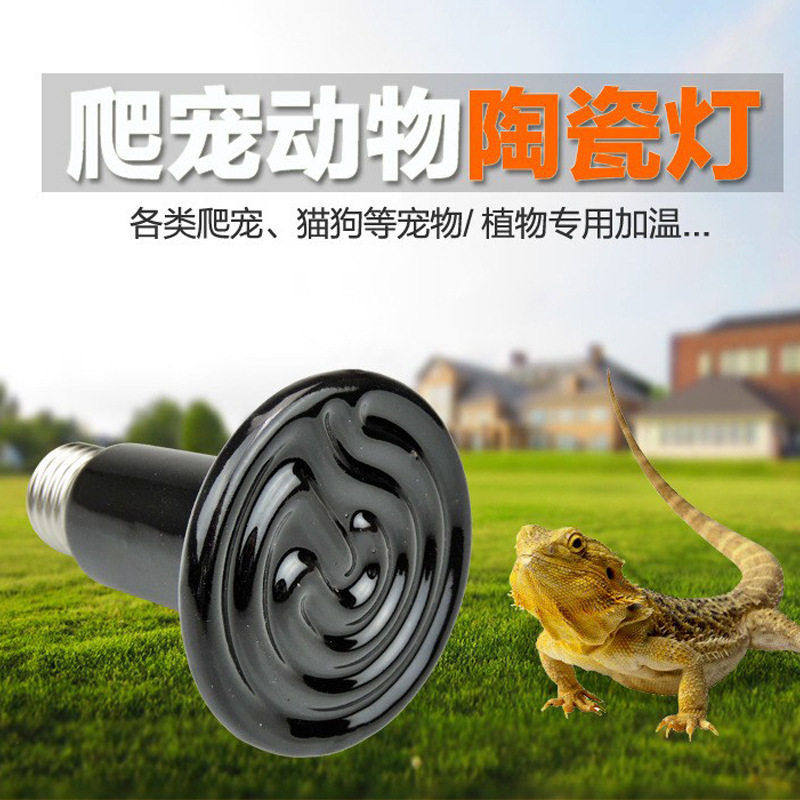 宠物陶瓷爬虫灯陶瓷加热灯远红外爬宠灯蜥蜴乌龟加热灯桑拿加温灯,农机/农具/农膜,农用防护器具,淘宝优惠券,粉丝福利购,淘宝优惠卷