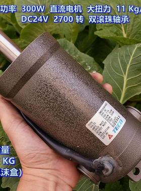 大功率 300 W 直流电机 DC24V 2700 转 大扭矩11KG/cm 双滚珠轴承