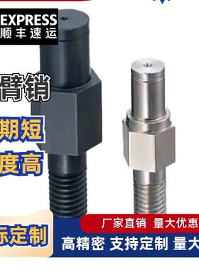 MGQ11 MGQ12 MGQ14 MGQ16 MGQ17 MGQ19悬臂销非标定制