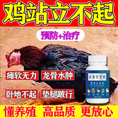 鸡鸭鹅鹌鹑站不起来瘫软软脚鸡滑膜痪效鸽鸭鹅浆膜专药用软骨素