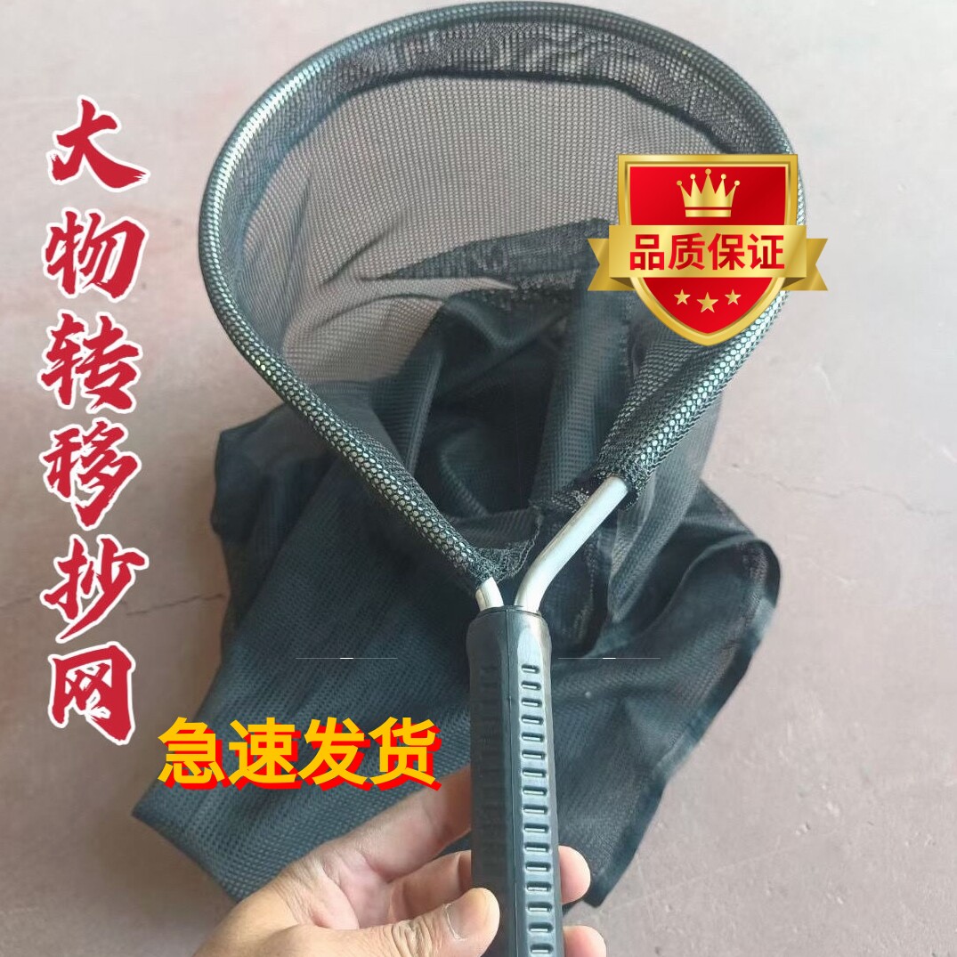 转移抄网巨物青鱼草鲟锦鲤