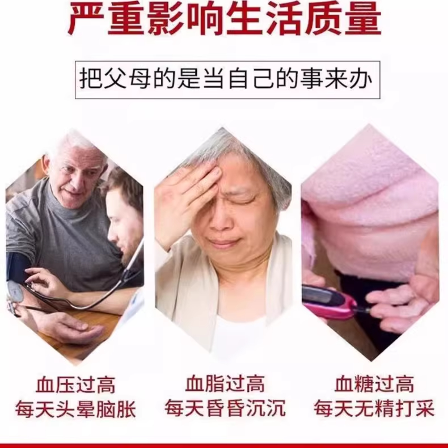 罗布麻降压茶血压杜仲糖脂三高正品J甘油三酯的茶