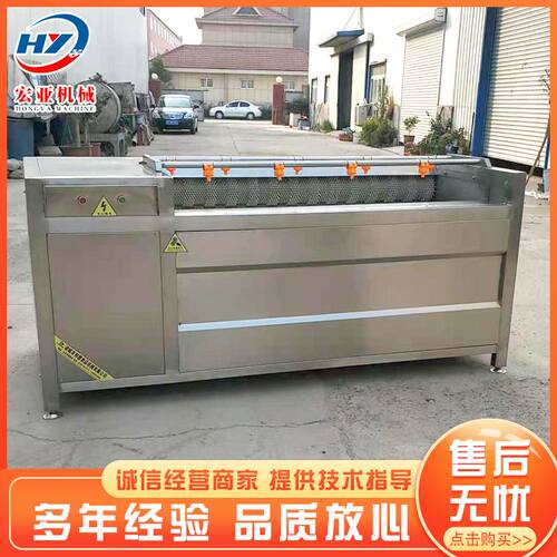 商用毛辊土豆去皮机 海蛎子去杂清洗机 多功能根茎类药材清洗机