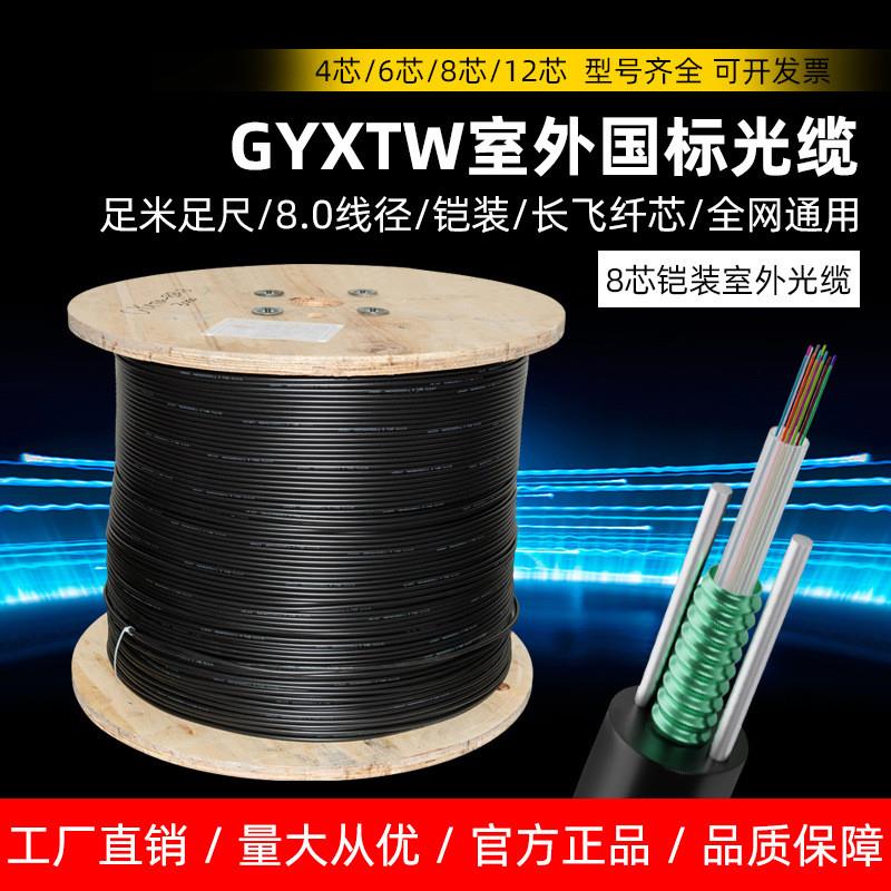 8芯光缆单模室外光纤线 GYXTW-8B1.3 国标中心管式电信级铠装户外