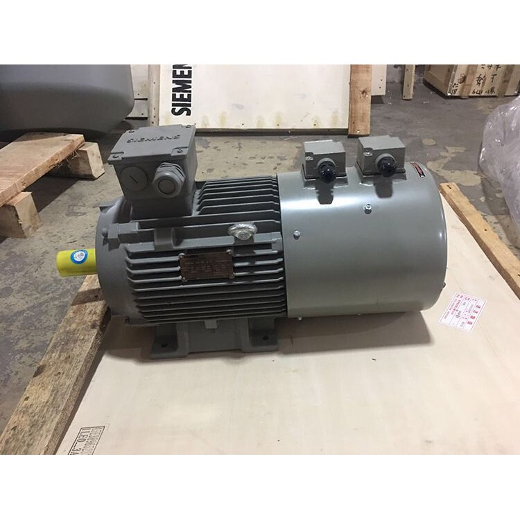 SIEMENS西门子变频调速专用电机1LE0001-1AB52-1AA4特殊可定制