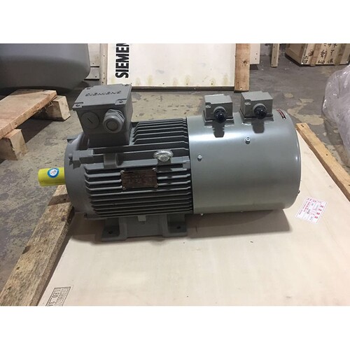 SIEMENS西门子变频调速专用电机1LE0001-1AB52-1AA4特殊可定制