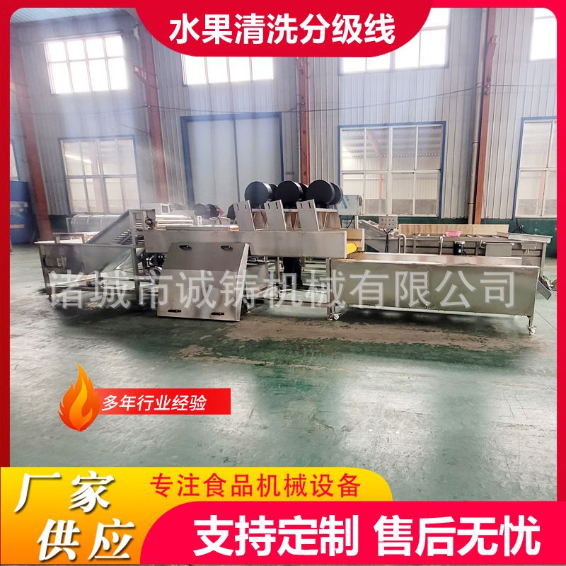 全自动水果清洗打蜡分级生产线芒果清洗打蜡选果生产线苹果清洗线