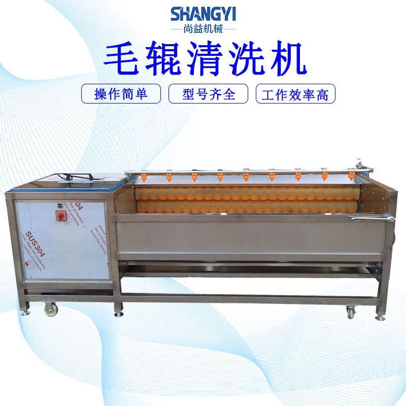 红枣干洗抛光机椰枣去泥去杂清洗设备灰枣U型毛辊清洗机,清洗/食品/商业设备,洗果机/洗菜机,淘宝优惠券,粉丝福利购,淘宝优惠卷