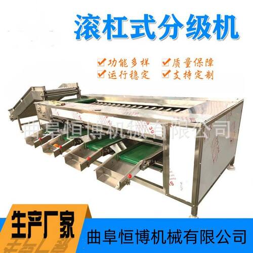 大型不锈钢滚杠筛选机 商用土豆西红柿分选机 工业圣女果西瓜设备