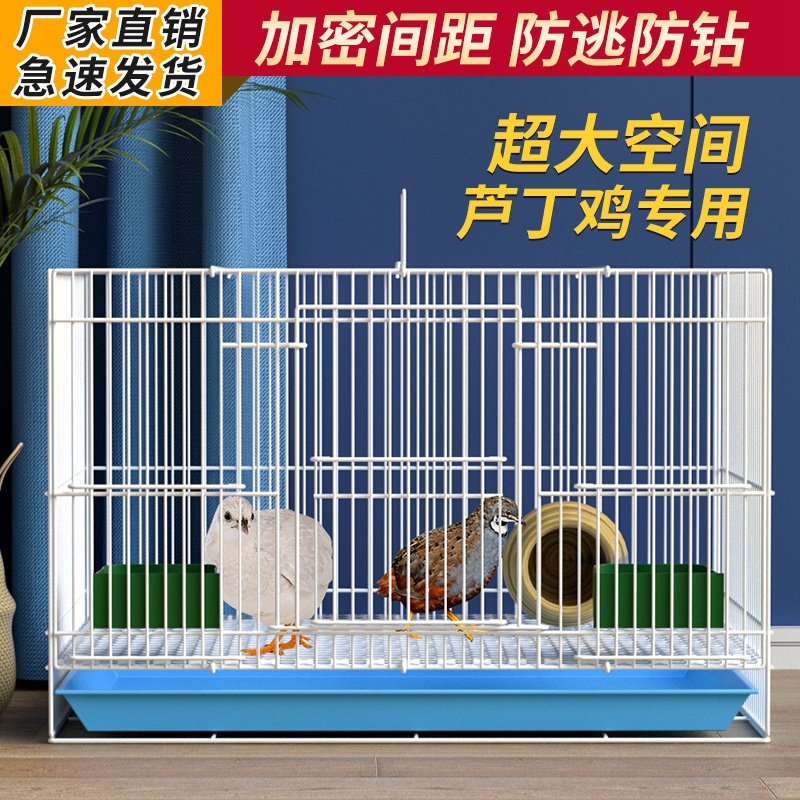 芦丁鸡专用笼观赏笼饲养箱育雏家