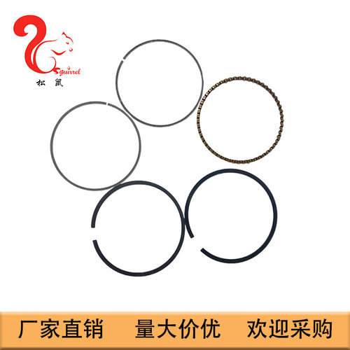 适用于Subaru斯巴鲁罗宾EX27活塞环Piston Rings