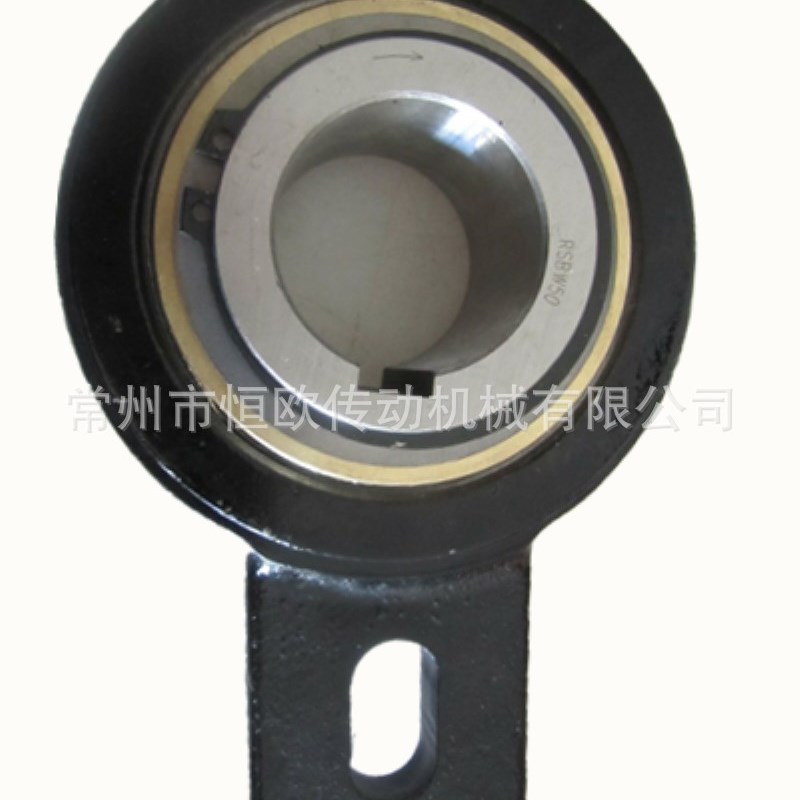提升机送料机逆止器RSBW35M RSBW40 RSBW45 RSBW50单向超越离合器