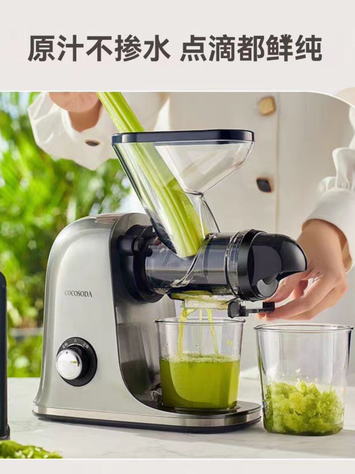 Cold Press Juicer Machines Slow Masticating Juicer慢速榨汁机