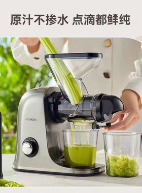 Cold Press Juicer Machines Slow Masticating Juicer慢速榨汁机