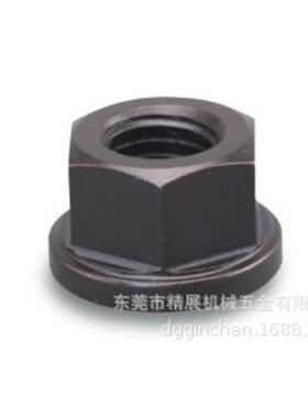 65884-06/08 PT04-1827/2232 法蘭螺帽 精展配件