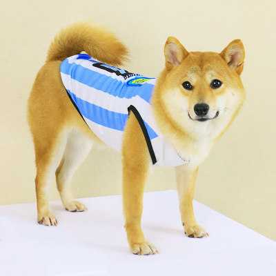 宠物狗狗衣服夏季薄款透