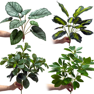 仿真绿萝龟背波斯叶散尾葵单支假草蕨草绿植装饰花材插花材料批发