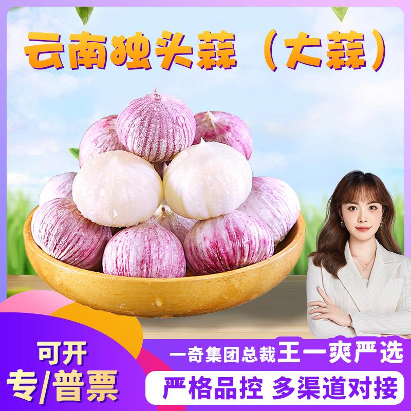 【严选】云南紫皮独头蒜 代发3斤农家新鲜蒜香辛辣大蒜非多瓣