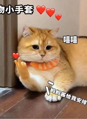 小猫咪比耶手套搞笑人手指逗宠物摆造型搞怪整蛊玩具高弹中指小手