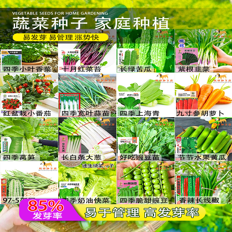 抢5包种子蔬菜大全四季菜种籽青菜萝卜白菜秋冬夏季瓜果蔬菜种子