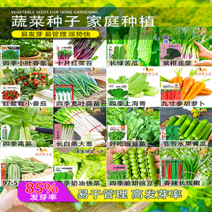 抢5包种子蔬菜大全四季菜种籽青菜萝卜白菜秋冬夏季瓜果蔬菜种子