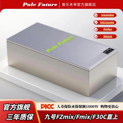 普乐未来九号Fz直上锂电池大容量