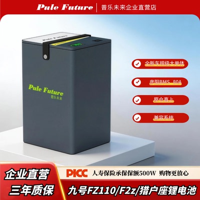 普乐未来九号猎户座/FZ110锂电池