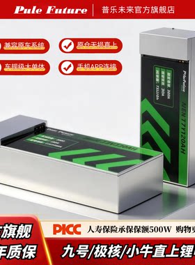 锂电池72V九号M95c/M5极核AE4/AE5i/小牛NX/FX风速/FXT直上大单体