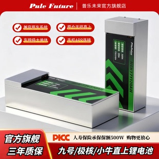 锂电池72V九号M95c/M5极核AE4/AE5i/小牛NX/FX风速/FXT直上大单体