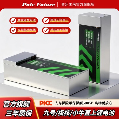 锂电池72V九号极核小牛金箭直上