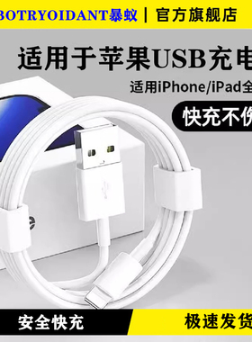 适用iPhone14数据线12promax品14苹果13充电线12器手机11/XR快充8p车载iPad平板6s闪充2米原7plus装正