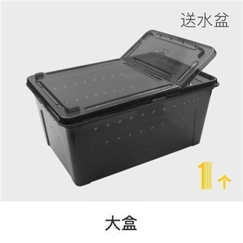 爬虫蚯蚓养专用箱大号养殖箱放的盒子饲养饲养箱用品包邮