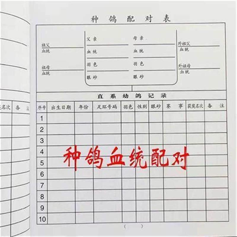 用品用具鸽子信鸽血统书