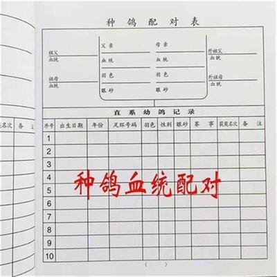 用品用具鸽子信鸽血统书