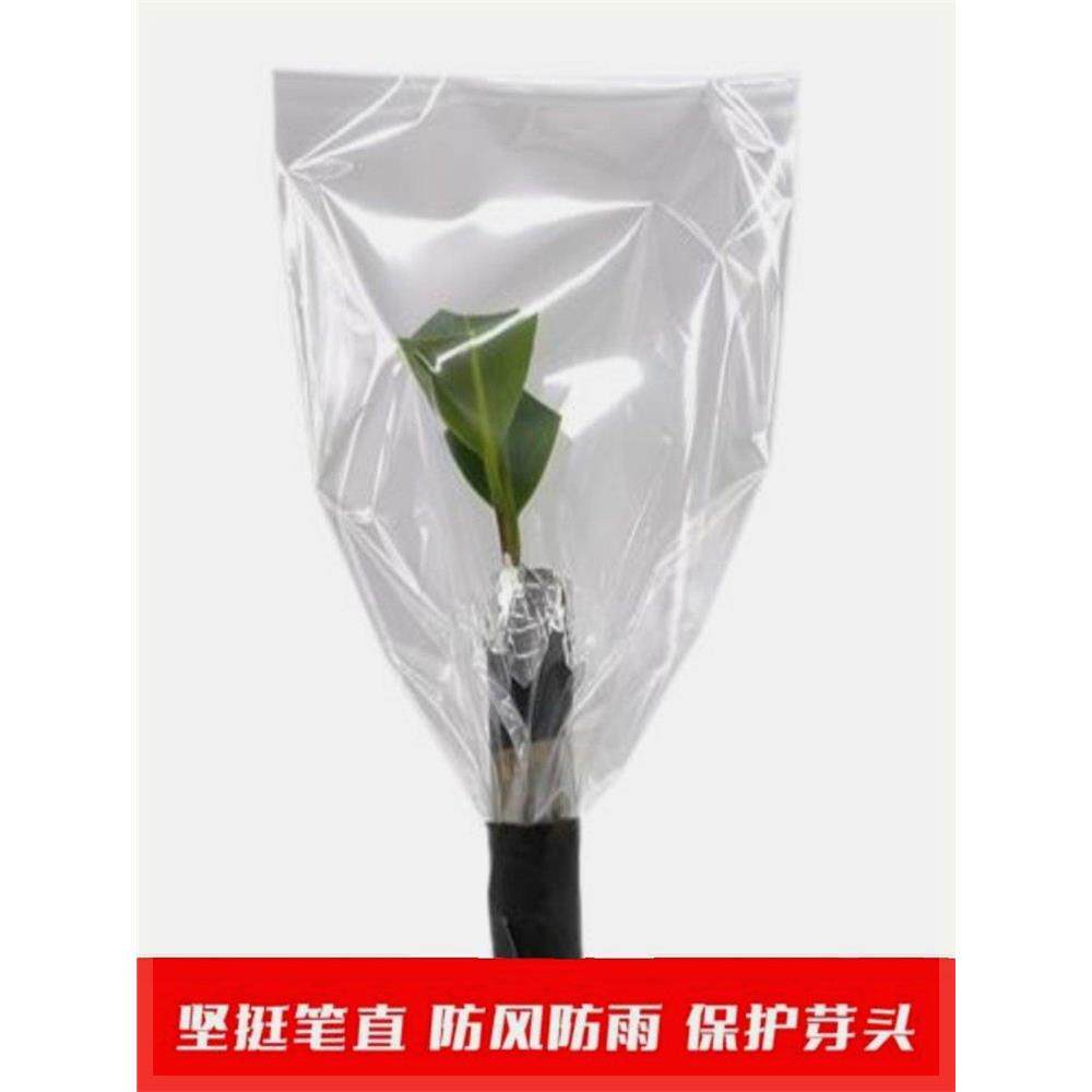 嫁接专用套袋防风雨打压不倒密封袋果树保湿袋树苗盆栽嫁接塑料膜