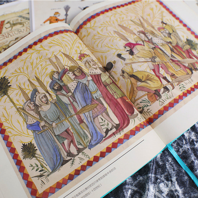 神奇的魁地奇球 全彩绘本