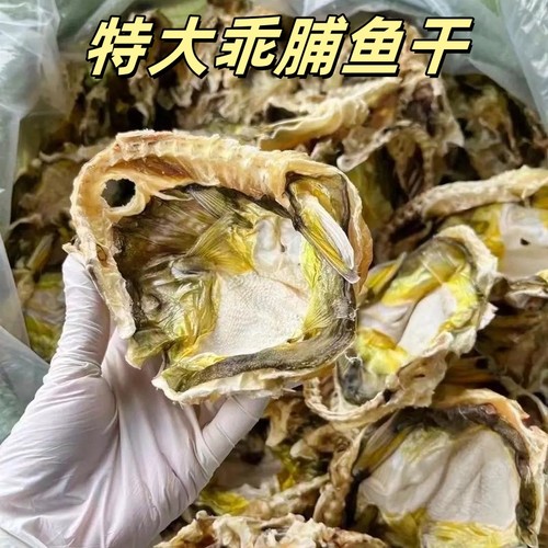天然自晒大号河豚干河豚鱼干乖脯