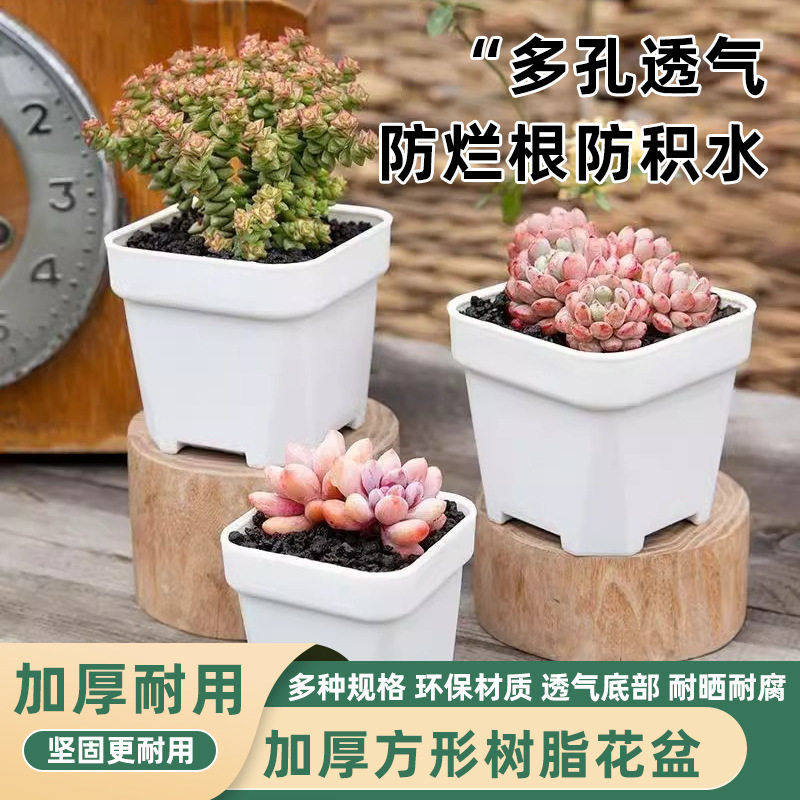 多肉小方盆塑料花盆加厚大小白方多肉盆多肉植物小花盆育苗盆方形,鲜花速递/花卉仿真/绿植园艺,花托/移动托盘,淘宝优惠券,粉丝福利购,淘宝优惠卷