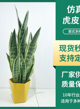 仿真虎皮兰盆栽现落地简约绿植公室摆件室内客厅家居仿真绿植