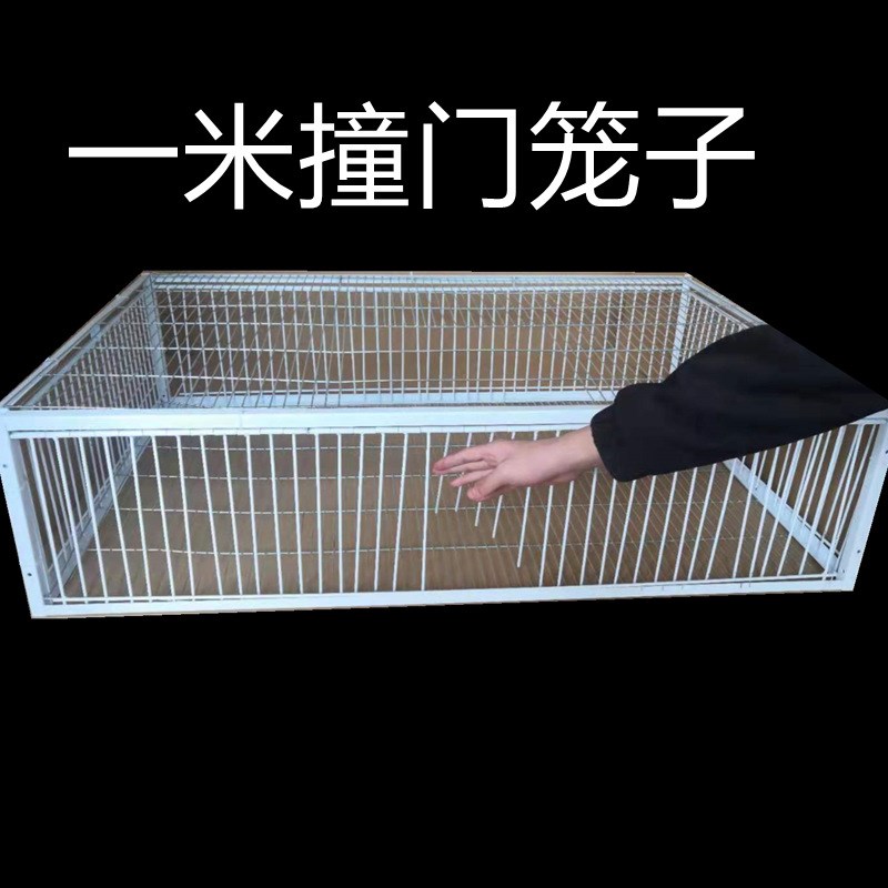 速发天落笼加密只进不出鸽子笼自动捕鸡笼活络撞门笼收鸽器