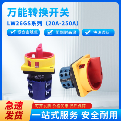 温州长江长信万能转换开关LW26GS-20/04-2 LW26-32A电源切断开关